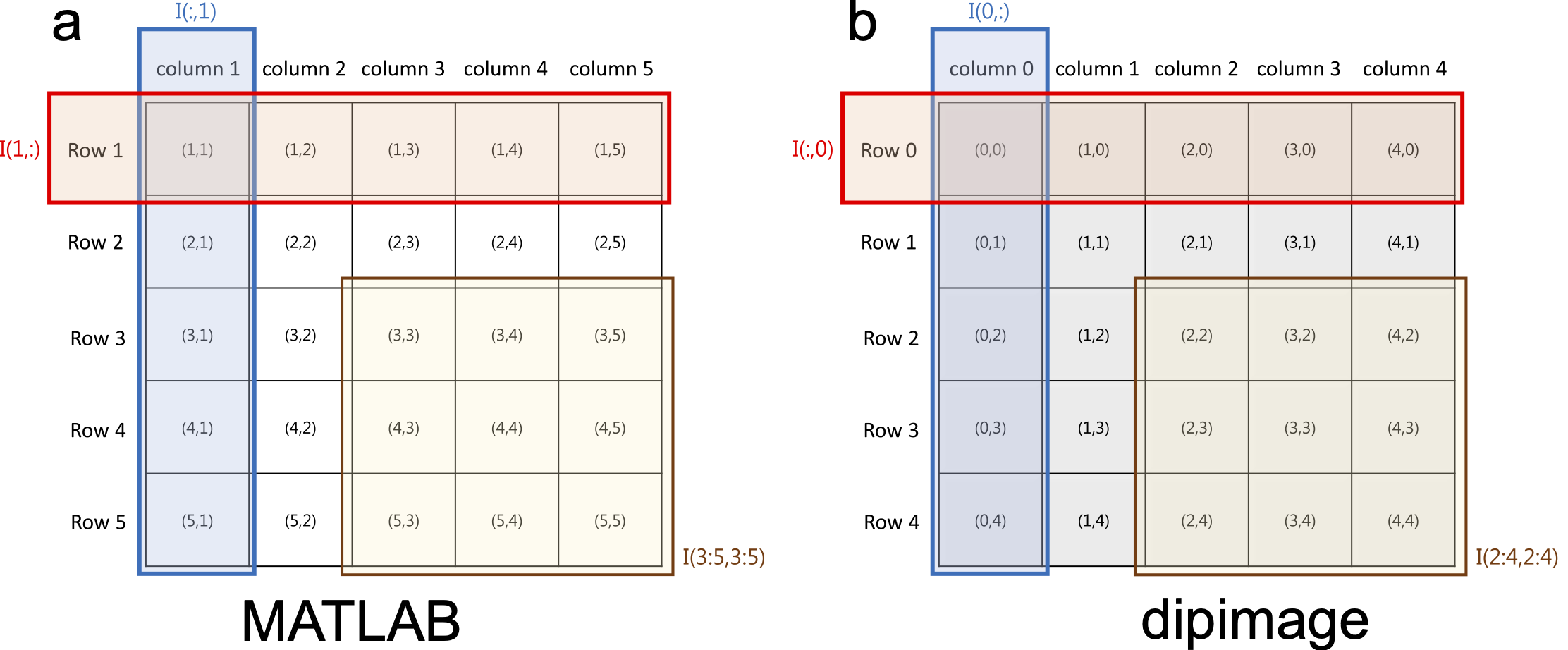 Pixel indexing in MATLAB versus DIPimage.