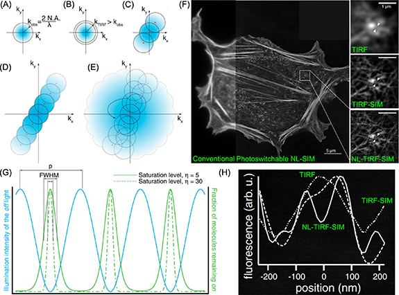 The principle of non-linear SIM (D,E,G) and comparison to linear SIM (A,B,C). Nonlinear SIM based on photoswitchable protein and its application in imaging filament structures in actin network (F,H). This figure corresponds to figure 7 of Ying Ma et al..