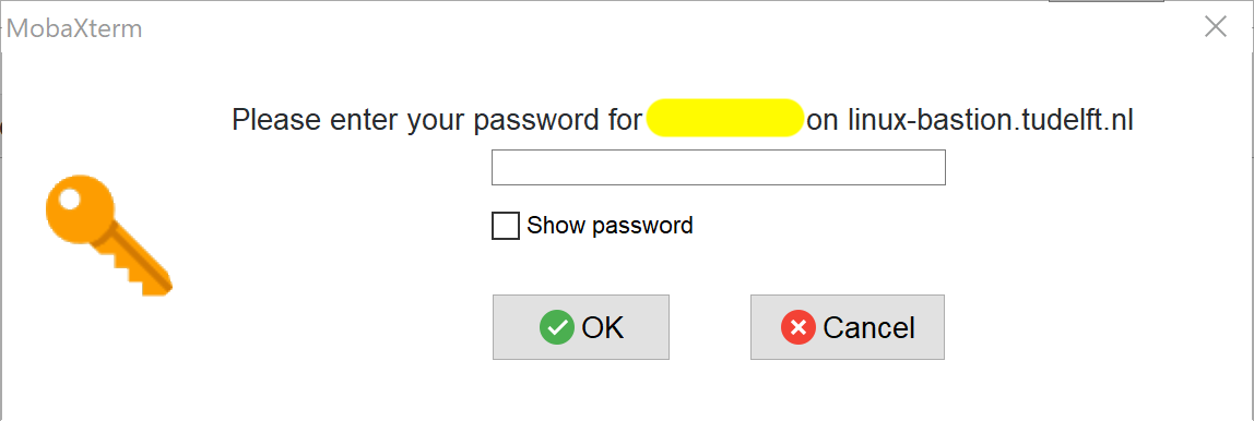 MobaXterm password